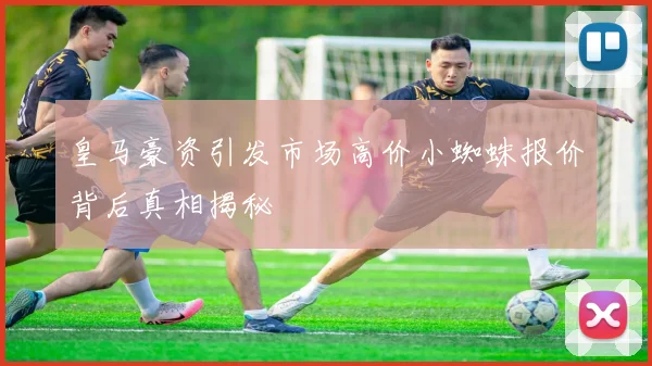 皇马豪资引发市场高价小蜘蛛报价背后真相揭秘